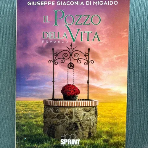 Copertina del romanzo Il pozzo della vita di Giuseppe Giaconia Di Migaido